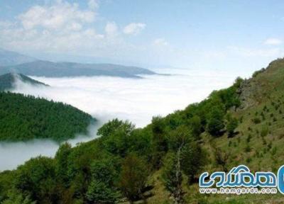 پارک جنگلی مکیدی بخشی از جنگلهای ارسباران به شمار می رود پارک جنگلی مکیدی بخشی از جنگلهای ارسباران به شمار می رود